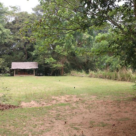 Wildescape, Yala Blocks 3 & 5 Vila Buttala Exterior foto