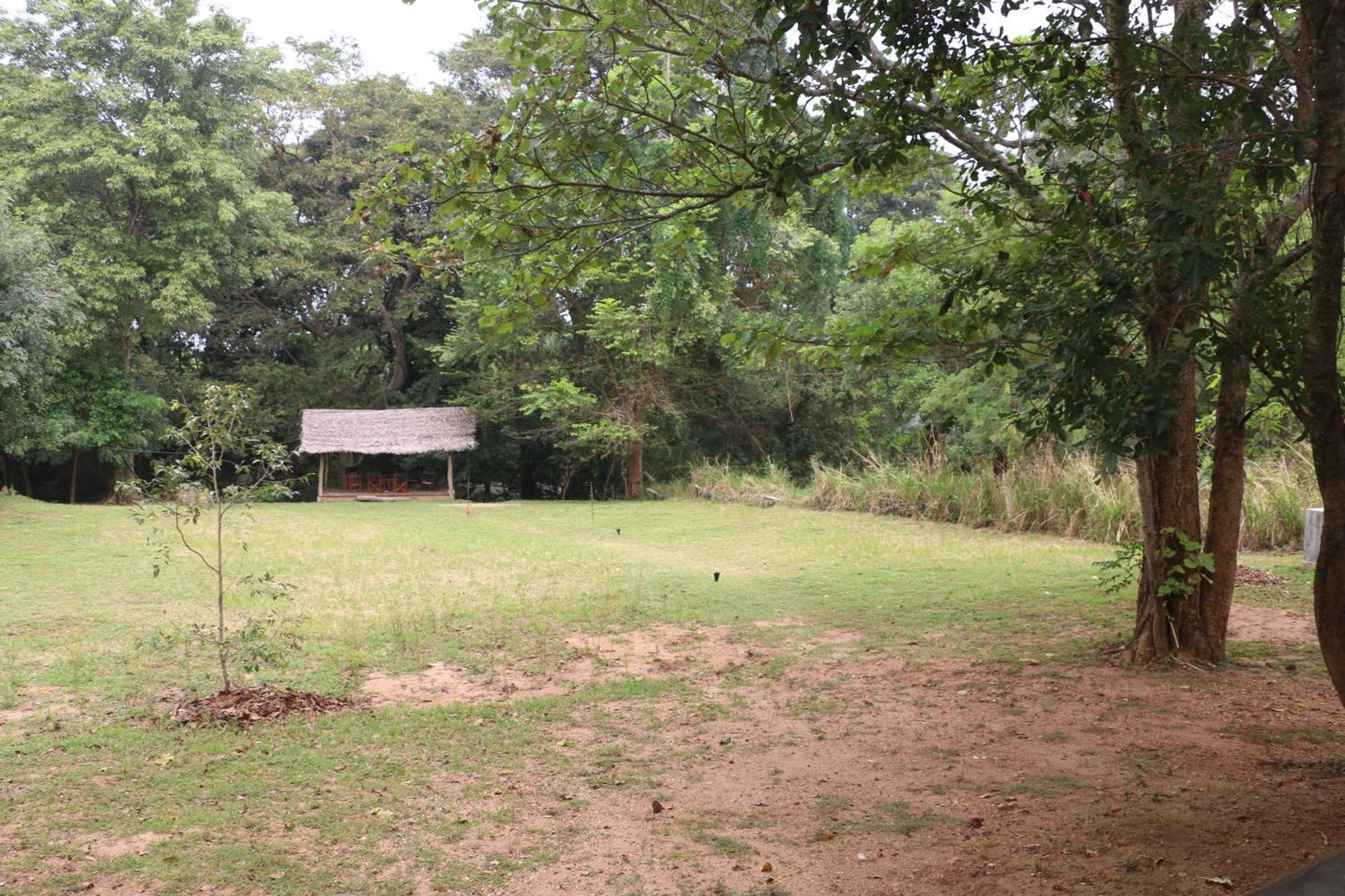 Wildescape, Yala Blocks 3 & 5 Vila Buttala Exterior foto