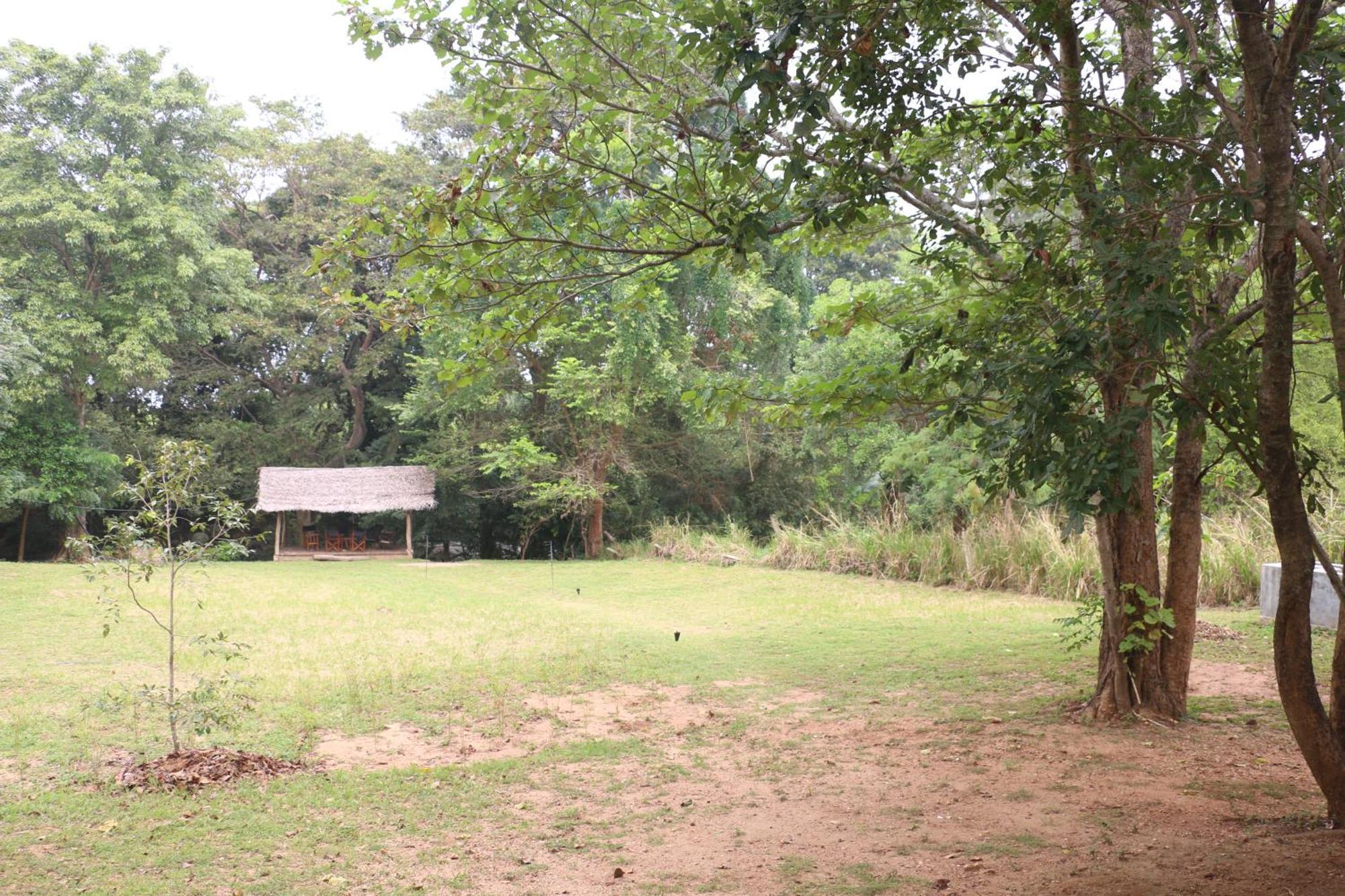 Wildescape, Yala Blocks 3 & 5 Vila Buttala Exterior foto