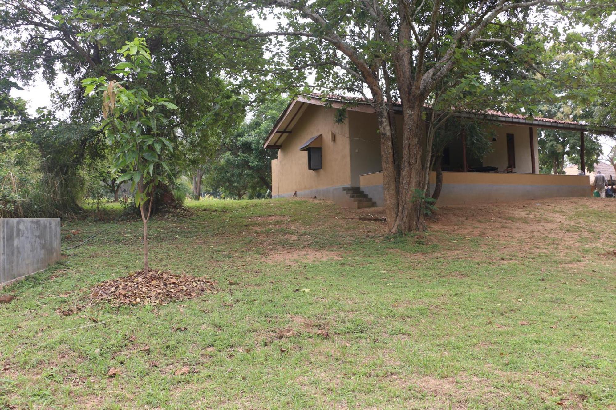 Wildescape, Yala Blocks 3 & 5 Vila Buttala Exterior foto