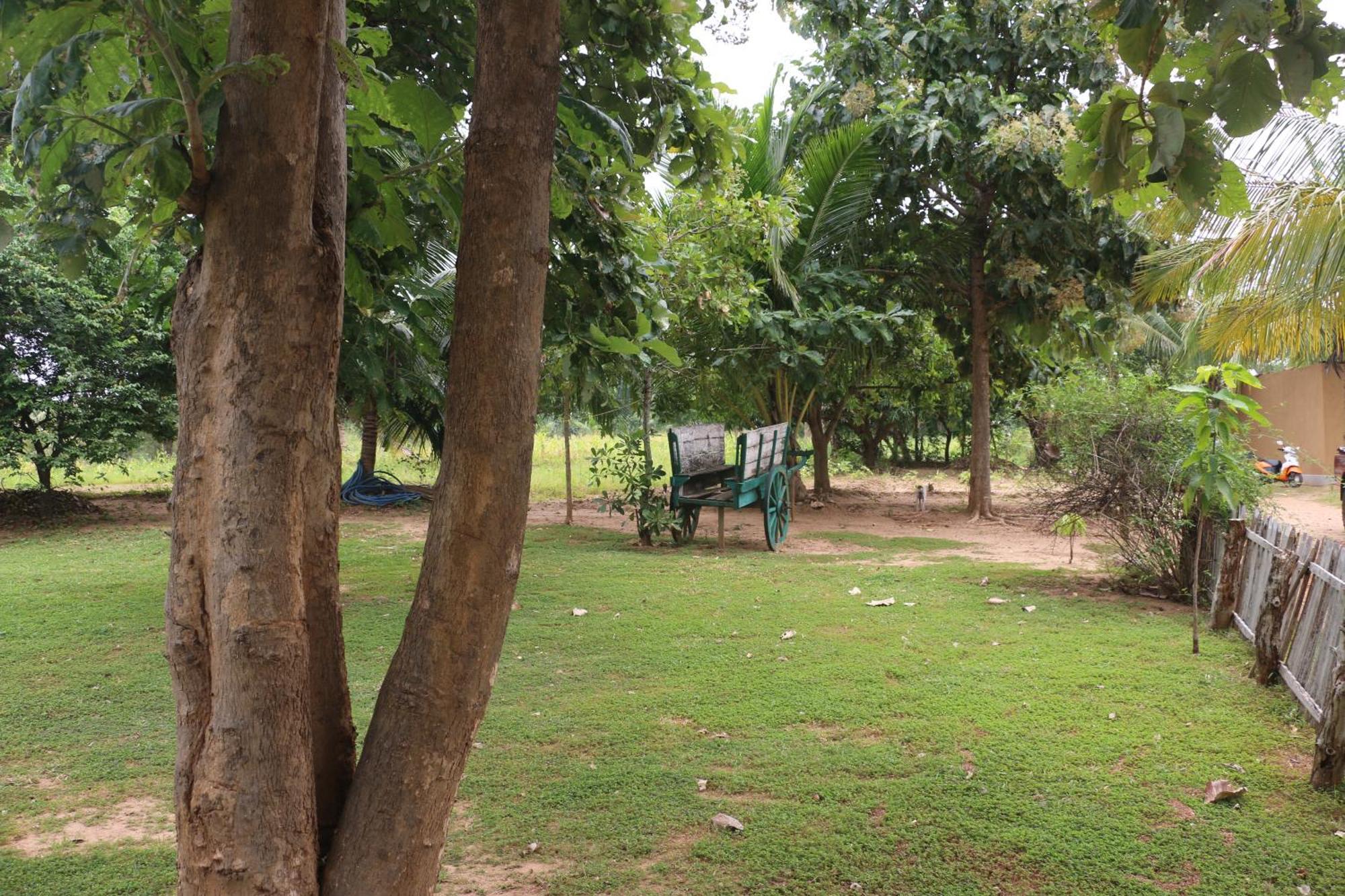 Wildescape, Yala Blocks 3 & 5 Vila Buttala Exterior foto