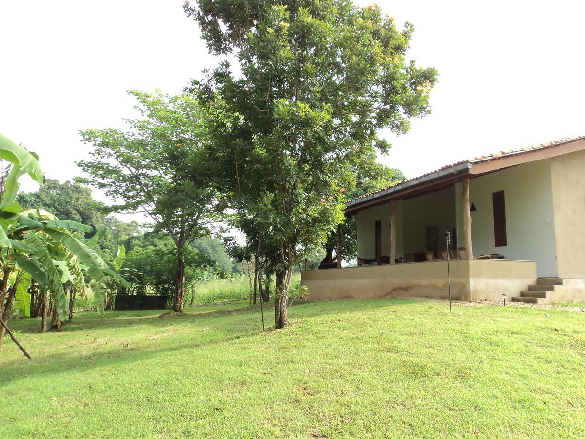 Wildescape, Yala Blocks 3 & 5 Vila Buttala Exterior foto