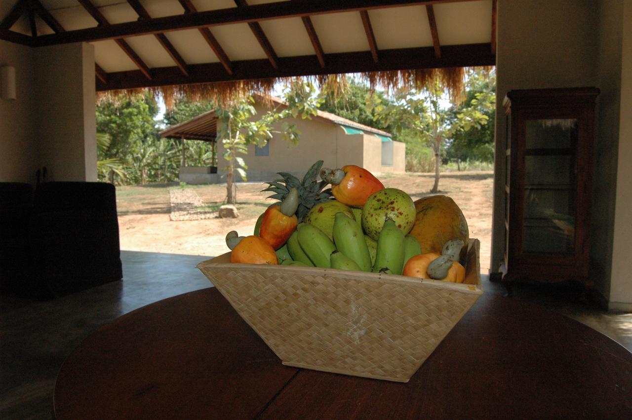 Wildescape, Yala Blocks 3 & 5 Vila Buttala Exterior foto