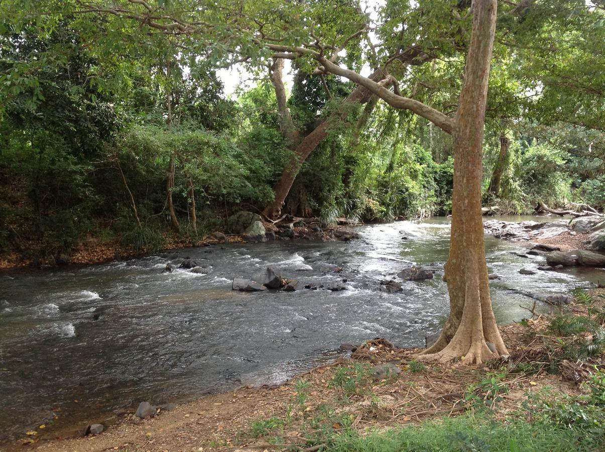Wildescape, Yala Blocks 3 & 5 Vila Buttala Exterior foto