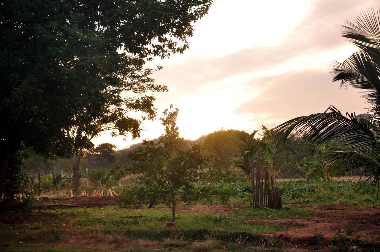 Wildescape, Yala Blocks 3 & 5 Vila Buttala Exterior foto