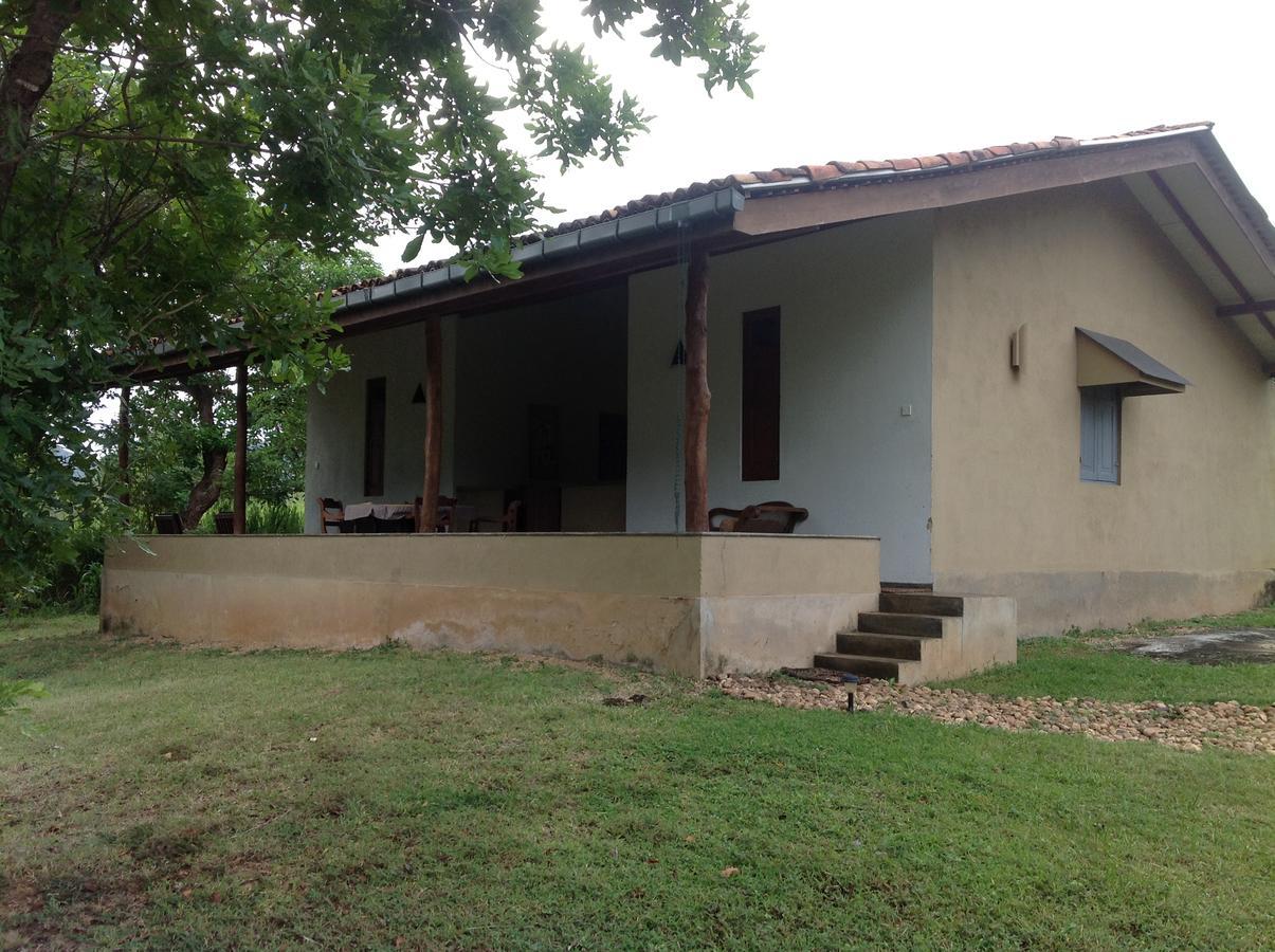 Wildescape, Yala Blocks 3 & 5 Vila Buttala Exterior foto